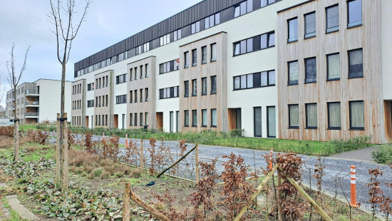 Zuidstraat - 42 - 201 - 8530