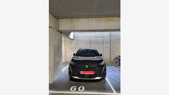 Zuidstraat - 42 - 201 - 8530