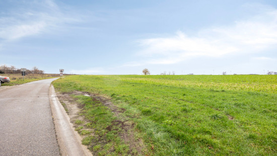 Lanciersstraat - 55 - - 3545