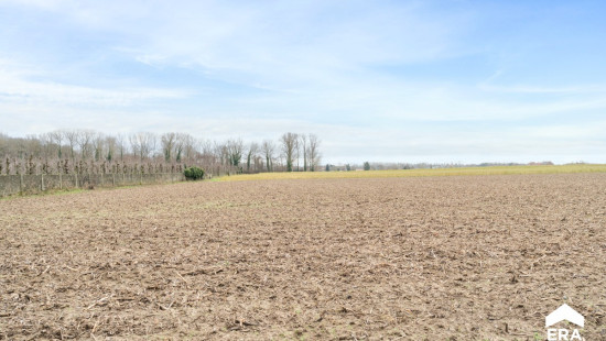 Hoeledensebaan - 109 - bus A - 3471