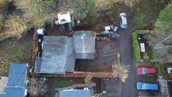 Tier de Rinze - 37 - 100 - 6940