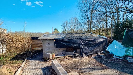 Tier de Rinze - 37 - 100 - 6940