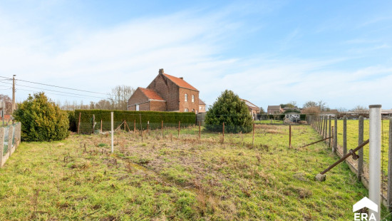 Pelsstraat - 97 - - 3350