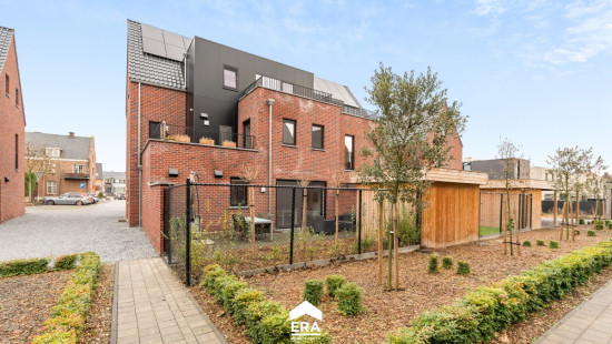 Caubergstraat - 2B - 2/1 - 3960