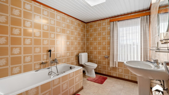 Pelsstraat - 97 - - 3350