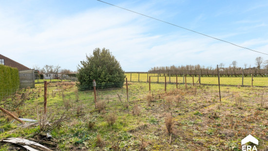 Pelsstraat - 97 - - 3350