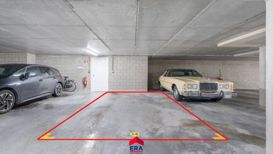 Lindelsebaan - 235 - bus 2 - 3900