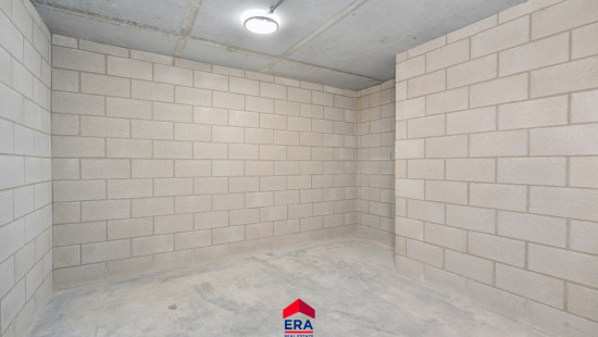 Lindelsebaan - 235 - bus 2 - 3900