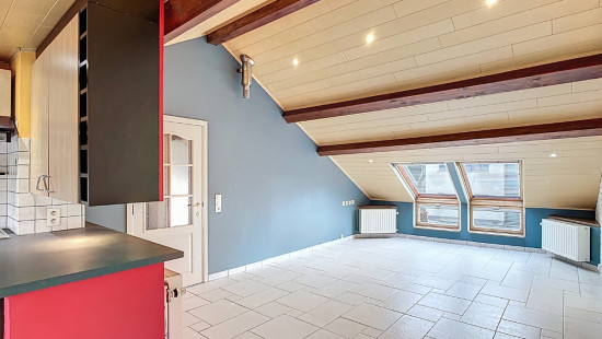 Chemin de Musy - 28 - A - 6600