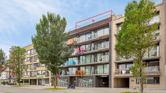 Tijdokstraat - 5 - 502 - 8380