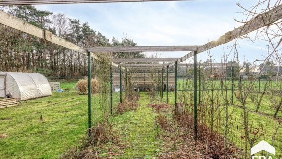 Achelsendijk - 40 - - 3910