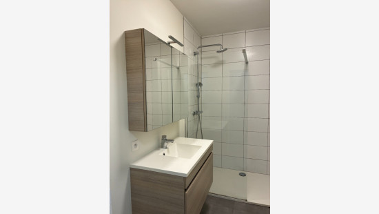 Henri Lebbestraat - 133 - 1 - 8790