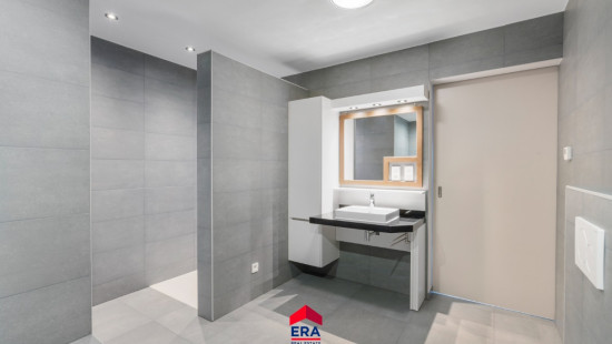 Lindelsebaan - 235 - bus 2 - 3900