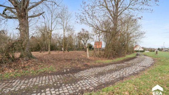 Vlaasstraat - 10 - - 3380