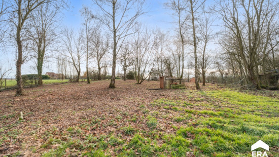 Vlaasstraat - 10 - - 3380