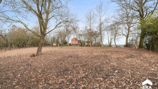 Vlaasstraat - 10 - - 3380