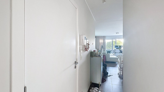 Brouwerijstraat - 41 -43 - 01.02 - 1853