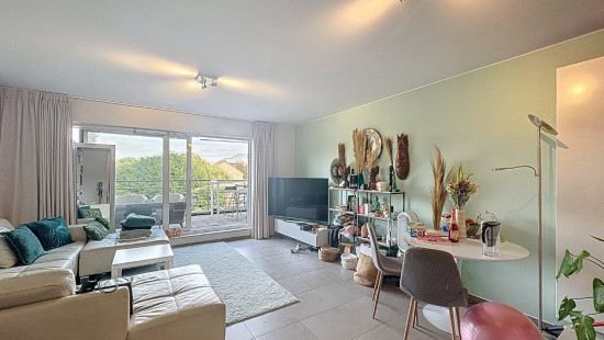 Brouwerijstraat - 41 -43 - 01.02 - 1853