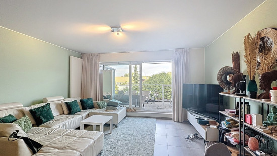 Brouwerijstraat - 41 -43 - 01.02 - 1853