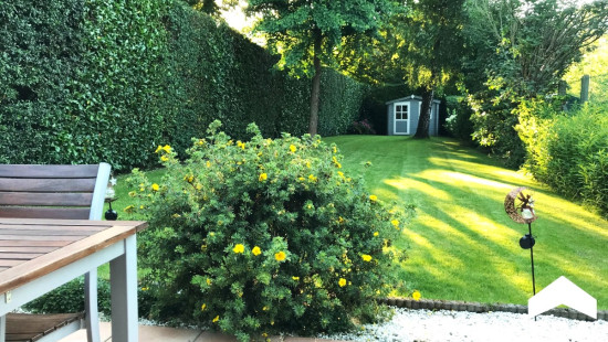 Rue de la Laiterie - 119 - - 1070