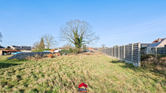 Breden Els - 14 - - 2490