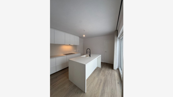 Tielenstraat - 8 - - 3900