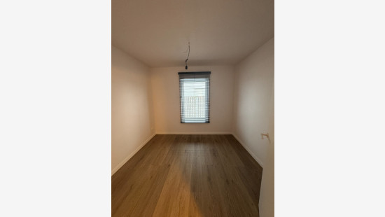 Tielenstraat - 8 - - 3900