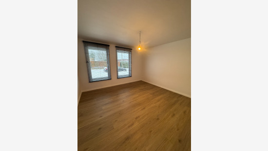 Tielenstraat - 8 - - 3900