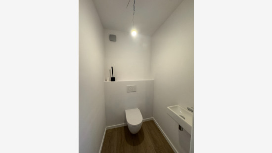 Tielenstraat - 8 - - 3900