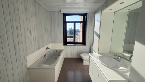 Naamsevest - 56 - - 3800