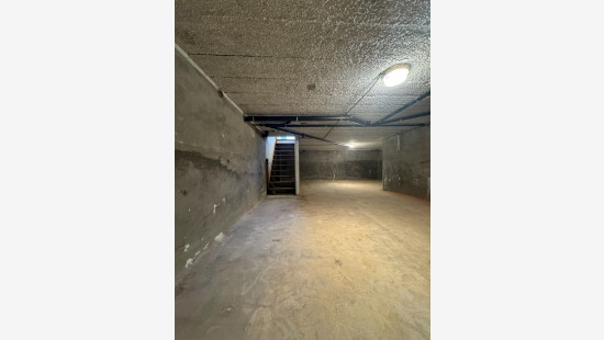 Tielenstraat - 8 - - 3900