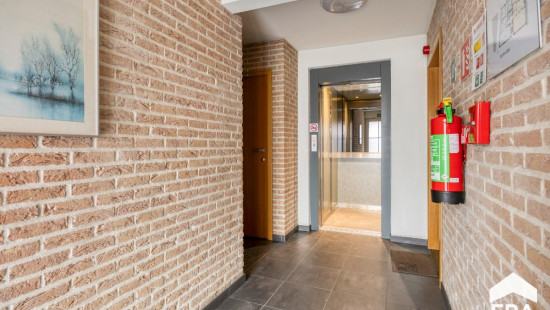 Dorpsstraat - 198 - bus 6 - 3900