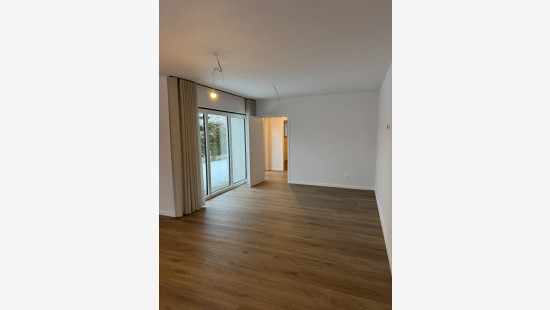 Tielenstraat - 8 - - 3900