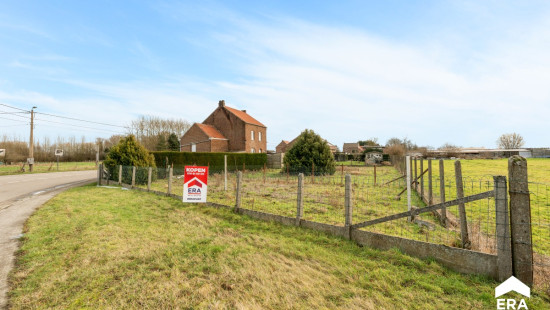 Pelsstraat - 97 - - 3350