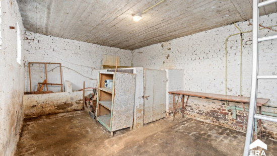 Pelsstraat - 97 - - 3350