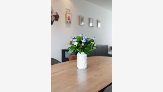 Dijkgravenstraat - 34 - - 9120