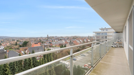 Leeuwerikenstraat - 51 - 802 - 3001