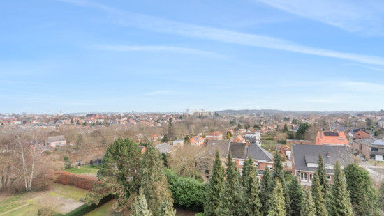 Leeuwerikenstraat - 51 - 802 - 3001