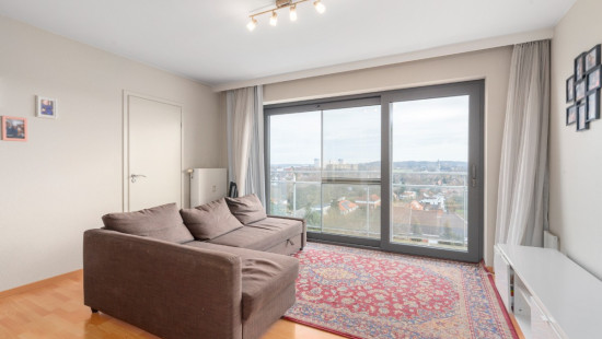 Leeuwerikenstraat - 51 - 802 - 3001