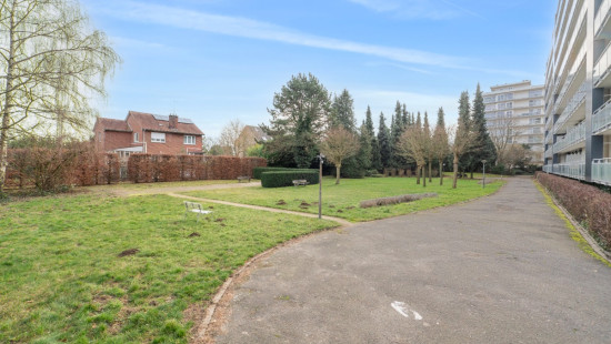 Leeuwerikenstraat - 51 - 802 - 3001