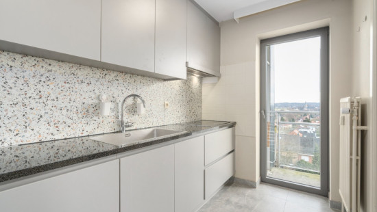 Leeuwerikenstraat - 51 - 802 - 3001