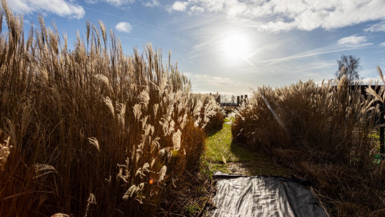 Grote Ieperstraat - 27 - - 8560