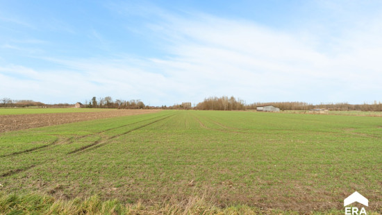 Pelsstraat - 97 - - 3350