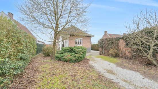 Molenstraat - 126 - - 9290