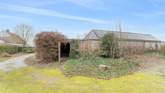 Molenstraat - 126 - - 9290