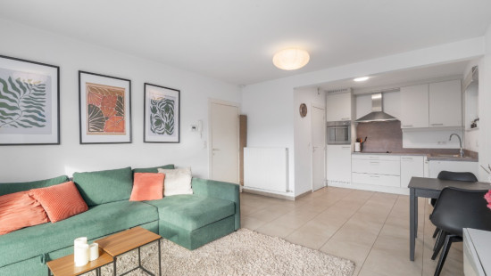 Potterstraat - 7 - 3 - 9170