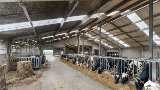 Sint-Sixtusstraat - 94 - - 8970