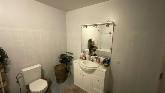 Herenthoutseweg - 40 - Bus 102 - 2200