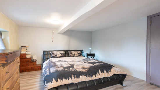 Tige du Bois de Gras - 12 - - 6941