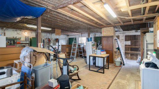 Tige du Bois de Gras - 12 - - 6941